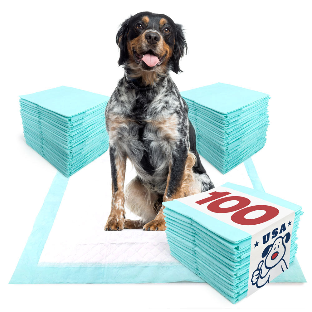 ValuePad USA Plus Puppy Pads, Large 28x30 Inch, 100 Count BULK PACK - Premium Puppy Pee Pads for Dogs, American Made Puppy Pads, Tear Resistant, Super Absorbent Polymer Gel Core, 5-Layer Design 