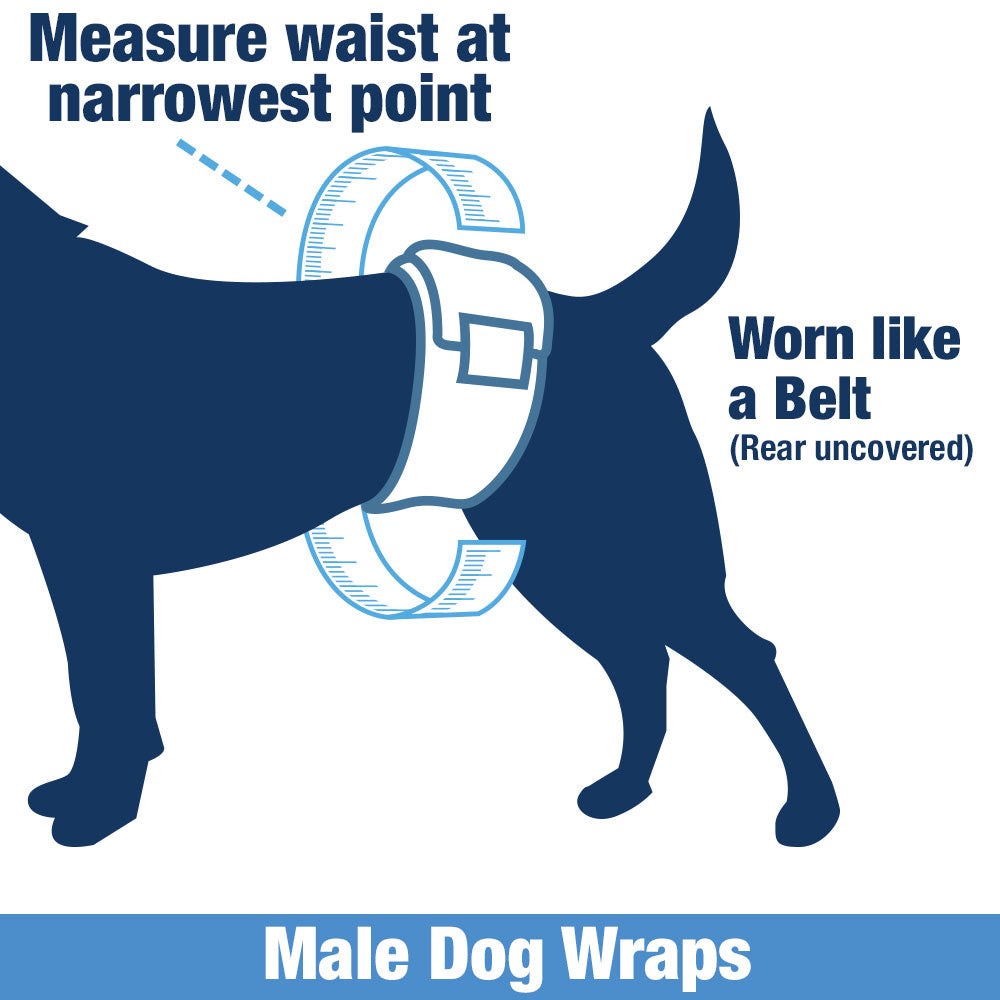 ValueWrap Male Wraps, Disposable Dog Diapers, Carbon, 1-Tab Extra Small, 288 Count BULK PACK - Activated Charcoal, Snag-Free Fastener, Leak Protection, Wetness Indicator 